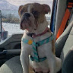 Meet your Posher, Bryan